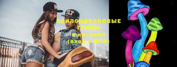 ешки Няндома