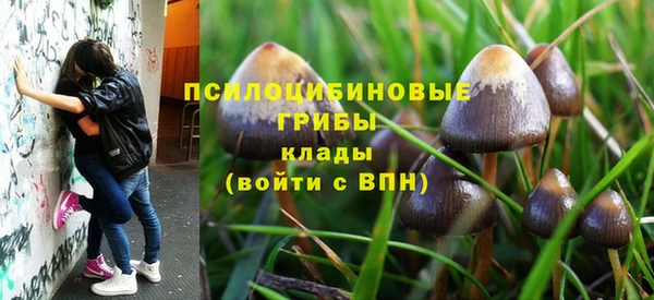 спиды Гусь-Хрустальный