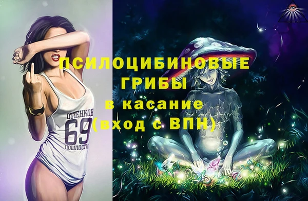 спиды Гусь-Хрустальный