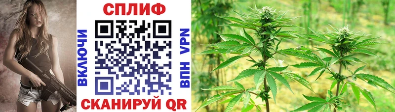 как найти закладки  MEGA вход  Бошки марихуана планчик  Славск 